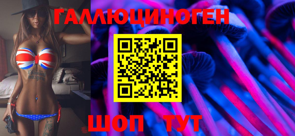 Галлюциногенные грибы MAGIC MUSHROOMS  купить закладку  Псилоцибиновые грибы мицелий  Владимир  Вход с VPN 